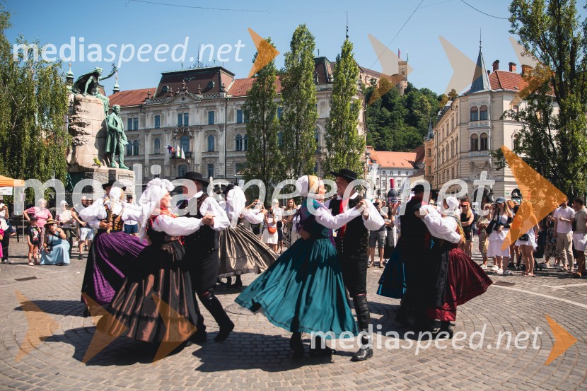 Ljubljanska vinska pot, poletna vinska razvajanja