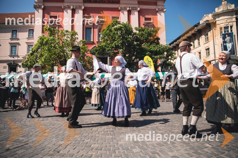 Ljubljanska vinska pot, poletna vinska razvajanja