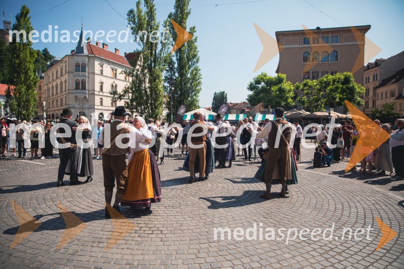 Ljubljanska vinska pot, poletna vinska razvajanja