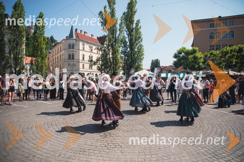 Ljubljanska vinska pot, poletna vinska razvajanja