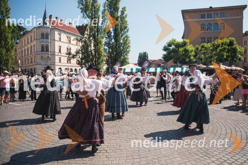 Ljubljanska vinska pot, poletna vinska razvajanja