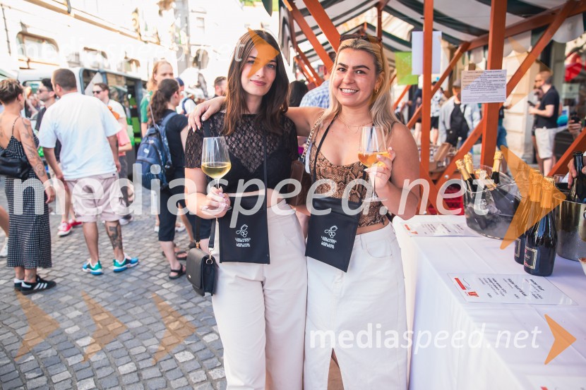 Ljubljanska vinska pot, poletna vinska razvajanja