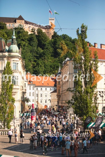 Ljubljanska vinska pot, poletna vinska razvajanja