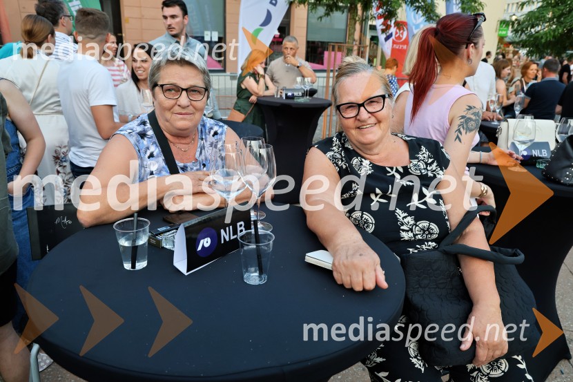 Gibonni odprl 17. mednarodni festival Arsana na Ptuju