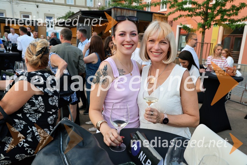 Gibonni odprl 17. mednarodni festival Arsana na Ptuju