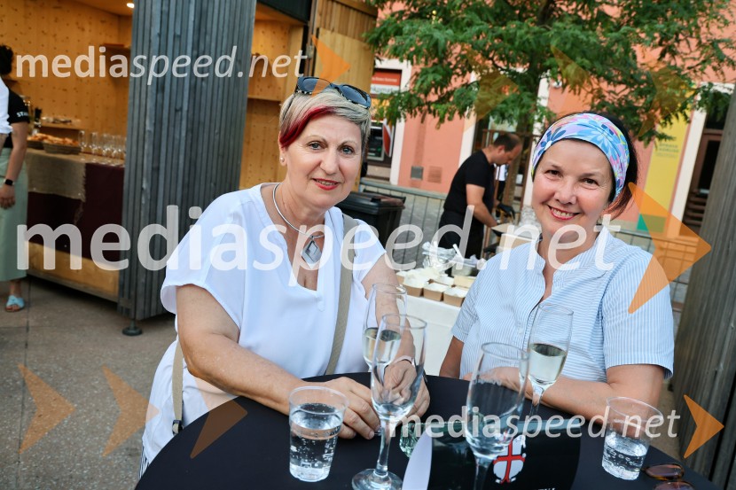 Gibonni odprl 17. mednarodni festival Arsana na Ptuju