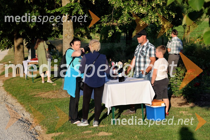 Vrtnice in vino v Botaničnem vrtu Univerze v Mariboru