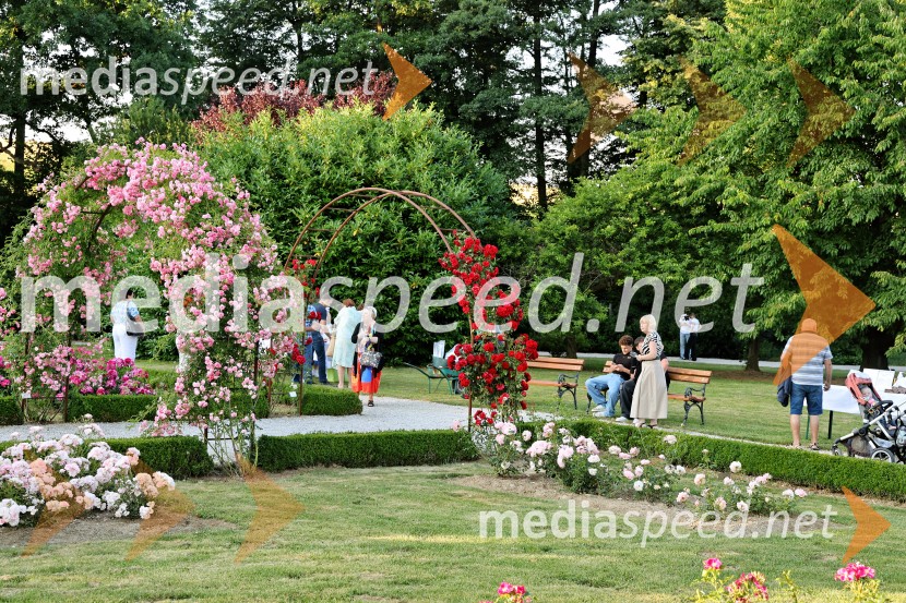 Vrtnice in vino v Botaničnem vrtu Univerze v Mariboru