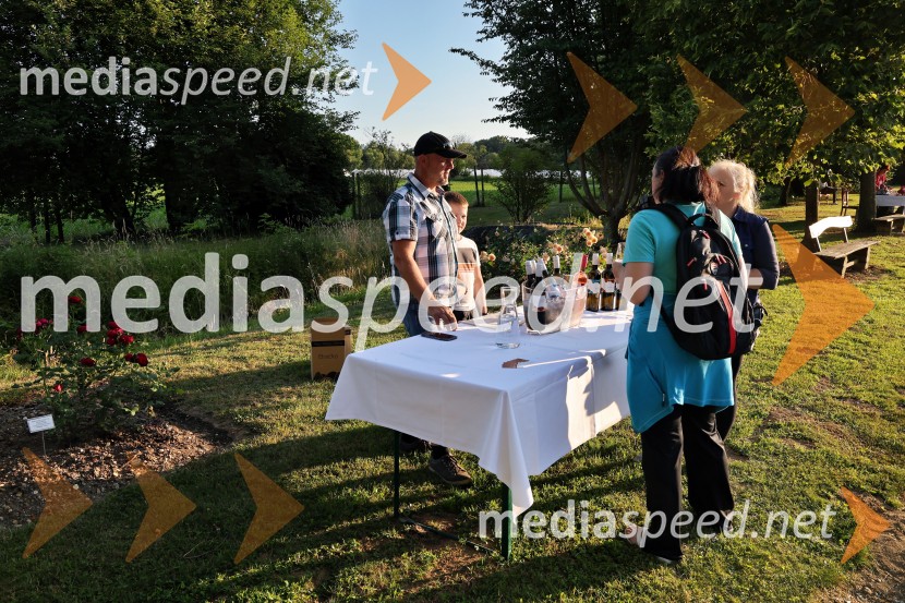 Vrtnice in vino v Botaničnem vrtu Univerze v Mariboru