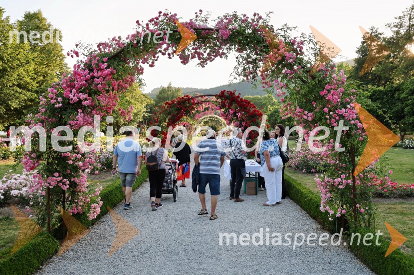 Vrtnice in vino v Botaničnem vrtu Univerze v Mariboru