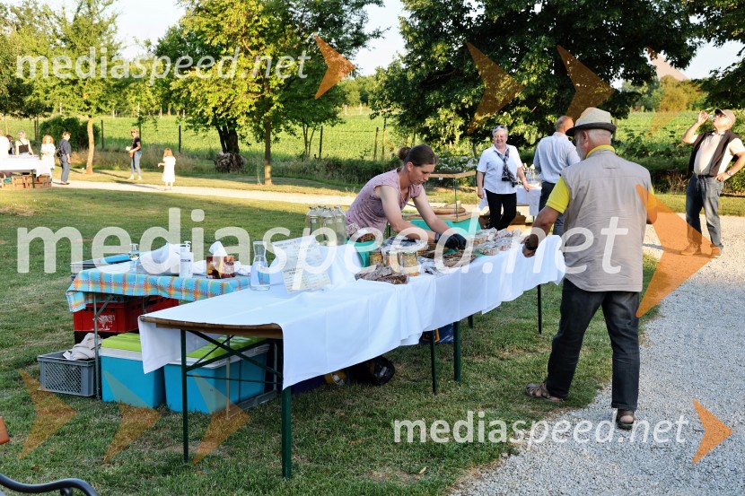 Vrtnice in vino v Botaničnem vrtu Univerze v Mariboru