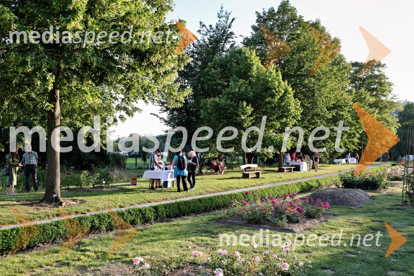 Vrtnice in vino v Botaničnem vrtu Univerze v Mariboru