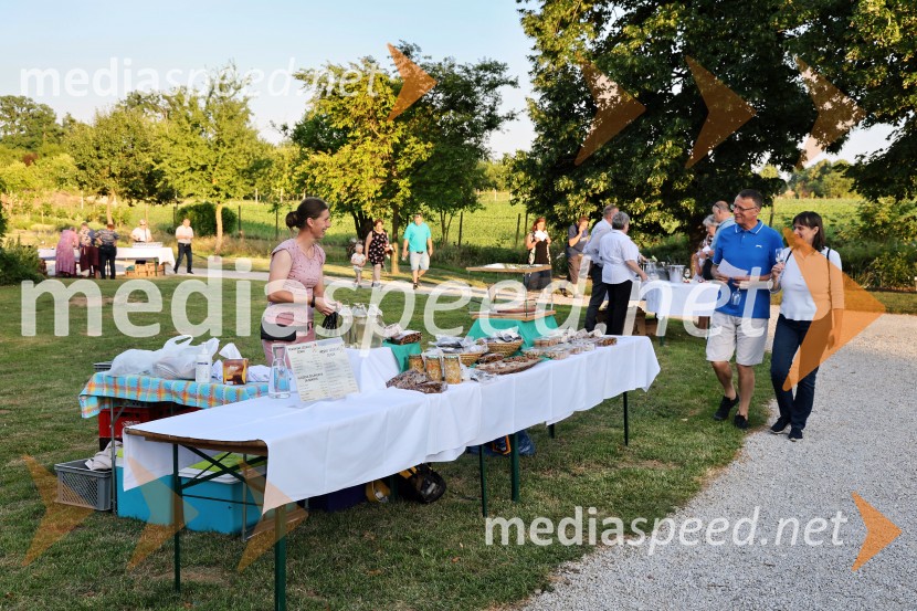 Vrtnice in vino v Botaničnem vrtu Univerze v Mariboru