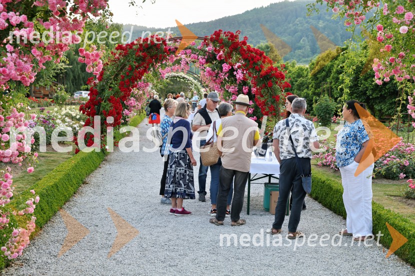 Vrtnice in vino v Botaničnem vrtu Univerze v Mariboru