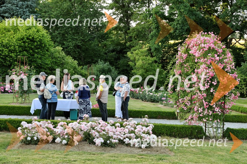 Vrtnice in vino v Botaničnem vrtu Univerze v Mariboru
