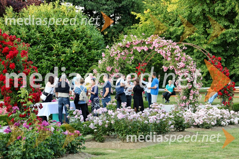 Vrtnice in vino v Botaničnem vrtu Univerze v Mariboru