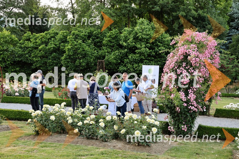 Vrtnice in vino v Botaničnem vrtu Univerze v Mariboru
