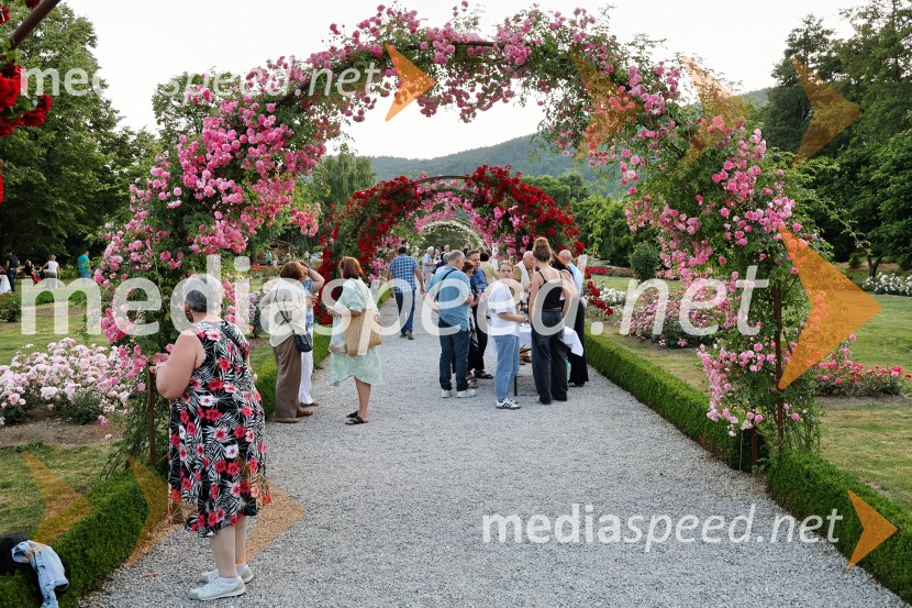 Vrtnice in vino v Botaničnem vrtu Univerze v Mariboru