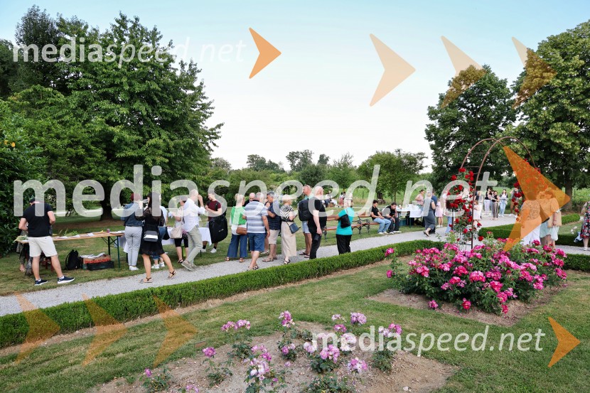 Vrtnice in vino v Botaničnem vrtu Univerze v Mariboru