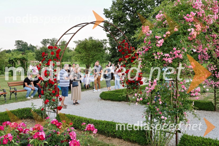 Vrtnice in vino v Botaničnem vrtu Univerze v Mariboru