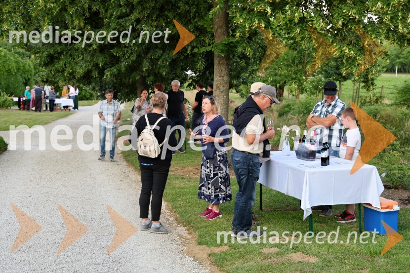 Vrtnice in vino v Botaničnem vrtu Univerze v Mariboru