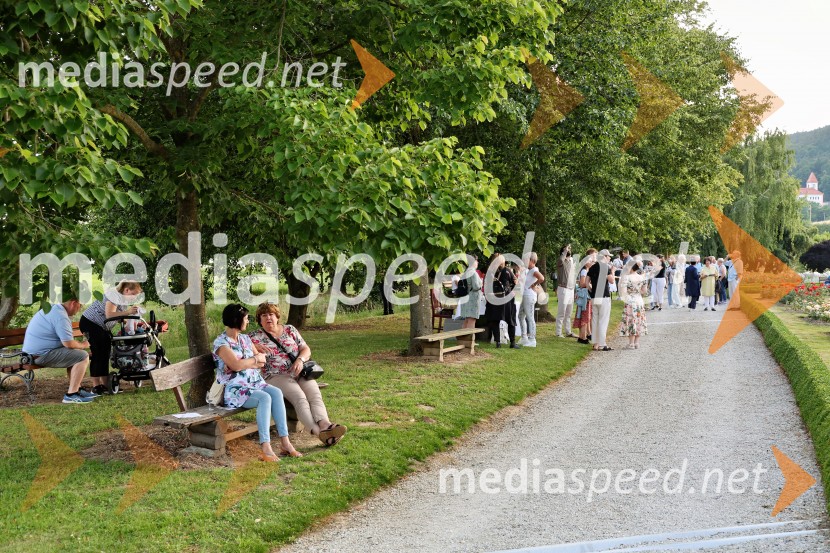 Vrtnice in vino v Botaničnem vrtu Univerze v Mariboru