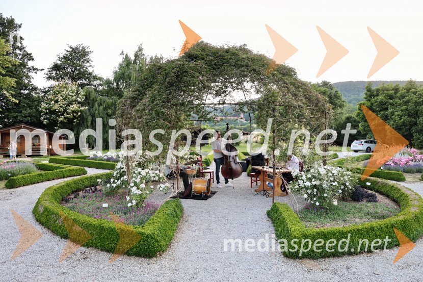 Vrtnice in vino v Botaničnem vrtu Univerze v Mariboru