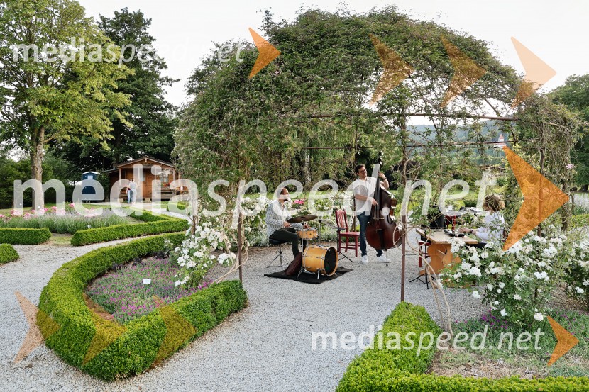 Vrtnice in vino v Botaničnem vrtu Univerze v Mariboru