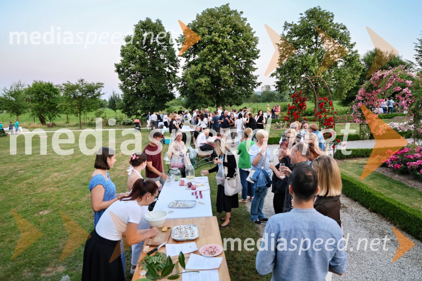 Vrtnice in vino v Botaničnem vrtu Univerze v Mariboru