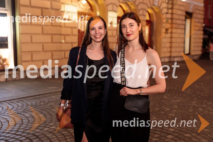 73. Ljubljana Festival, Poletna noč 2025, otvoritev