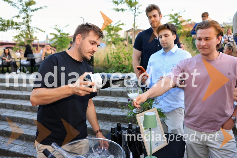 Vinsko LENTanje 2025