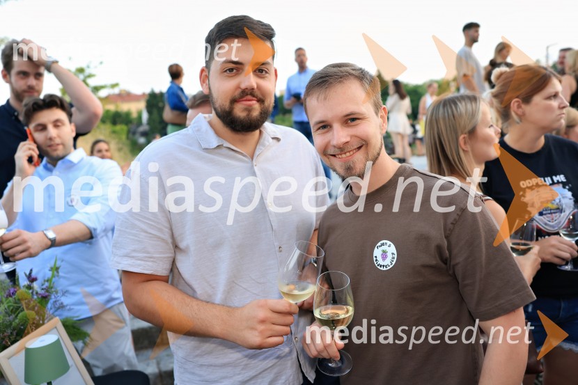 Vinsko LENTanje 2025