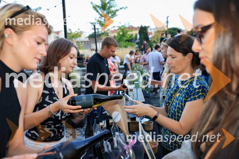 Vinsko LENTanje 2025