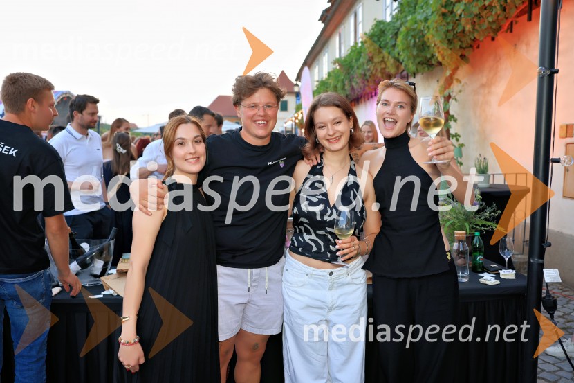  ... ;  Lina Kopše,  Hiša vina Doppler;  ... ;  ... Vinsko LENTanje 2025