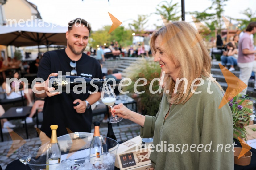  ... ;  Vida Tement, Radio CenterVinsko LENTanje 2025