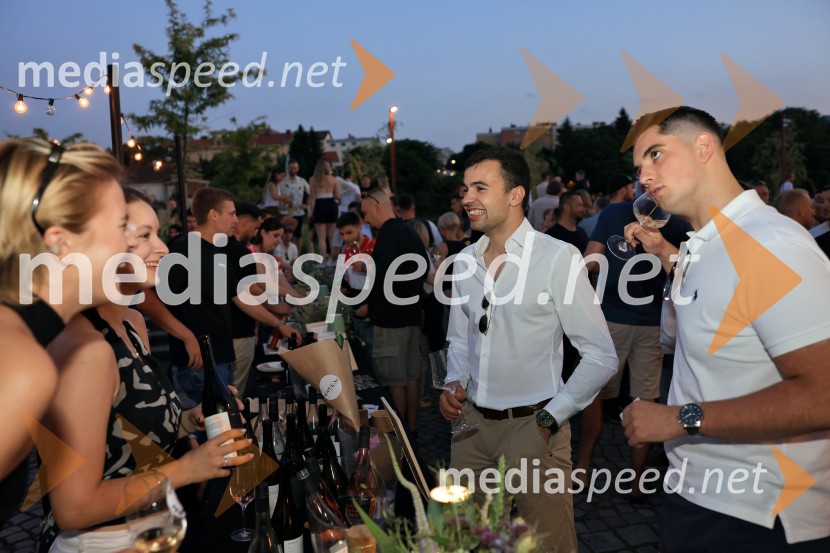 Vinsko LENTanje 2025