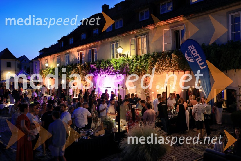 Vinsko LENTanje 2025