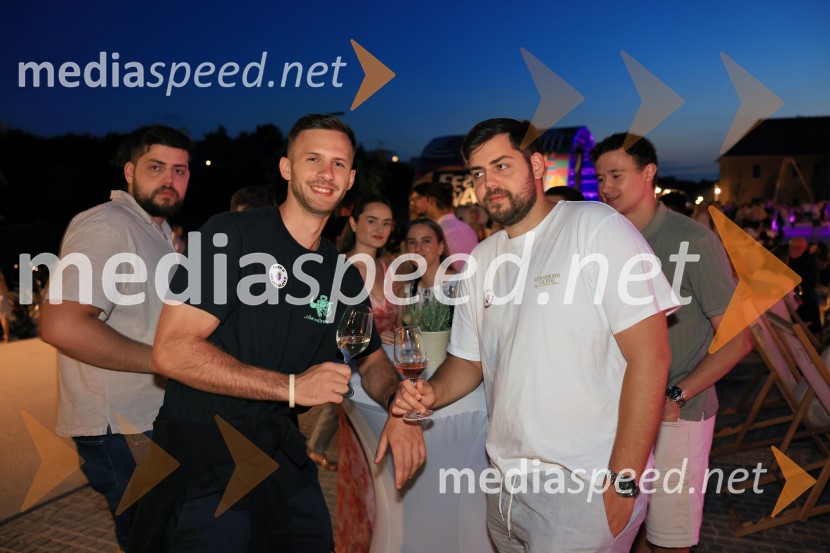 Vinsko LENTanje 2025