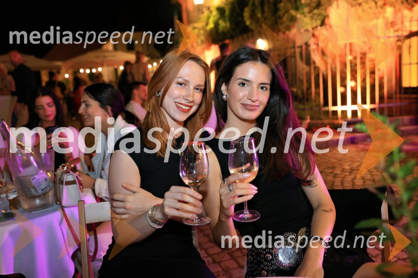 Vinsko LENTanje 2025