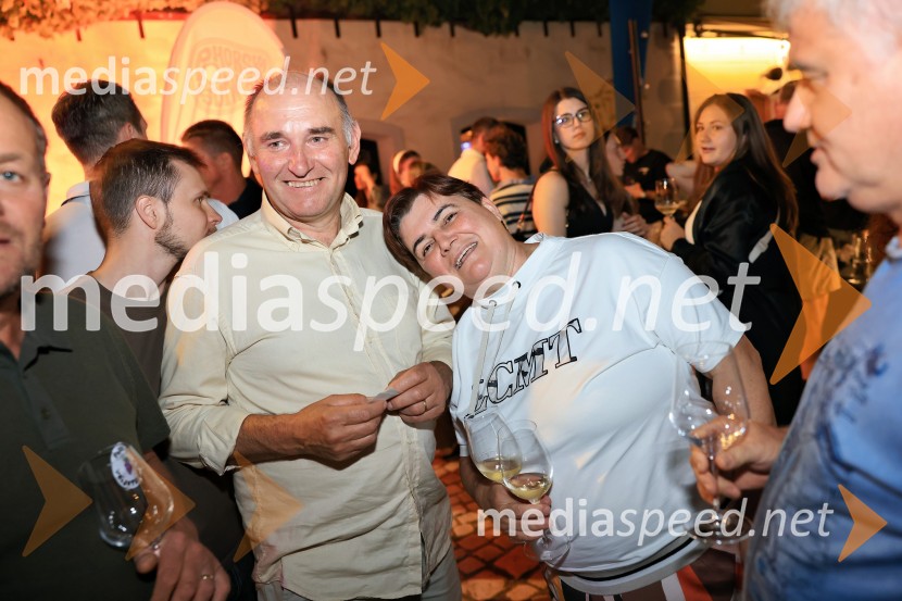 Vinsko LENTanje 2025