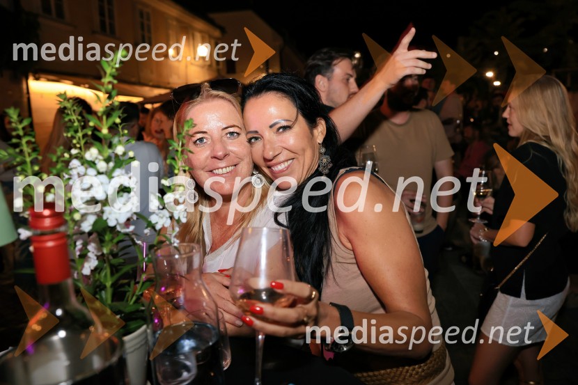 Vinsko LENTanje 2025