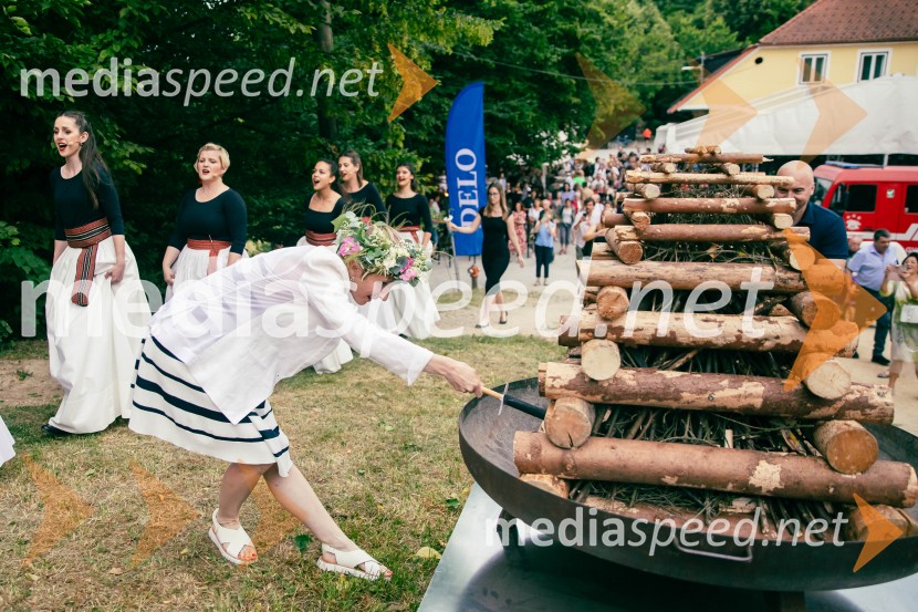  Ana  Schnabl, pisateljica35. kresnika prejela Ana Schnabl