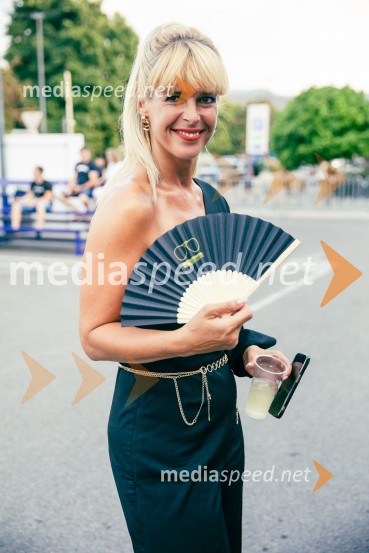  Darja Lesjak, center manager, Citycenter CeljeVeliki koncert Magnifica ob 15-letnici Citybanda