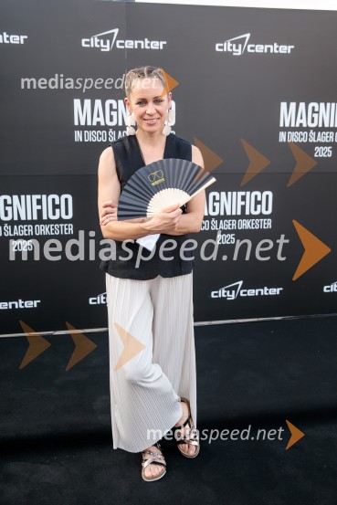 Veliki koncert Magnifica ob 15-letnici Citybanda