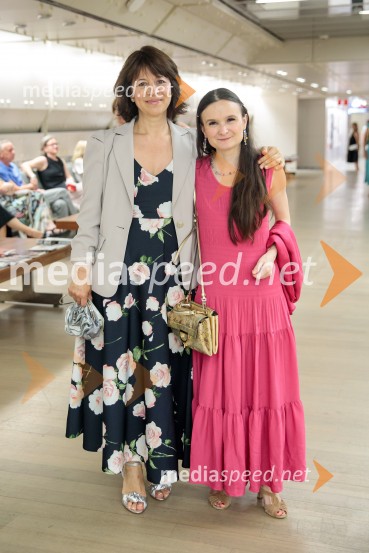 La Fura dels Baus, Joseph Haydn: Stvarjenje na 73. Ljubljana Festivalu