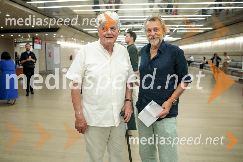 dr. Aleksander Bassin, slovenski likovni kritik;  ... La Fura dels Baus, Joseph Haydn: Stvarjenje na 73. Ljubljana Festivalu