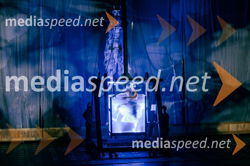 La Fura dels Baus, Joseph Haydn: Stvarjenje na 73. Ljubljana Festivalu