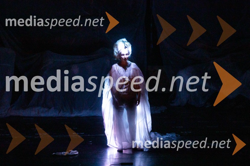  Alba Férnandez-Cano, solistkaLa Fura dels Baus, Joseph Haydn: Stvarjenje na 73. Ljubljana Festivalu