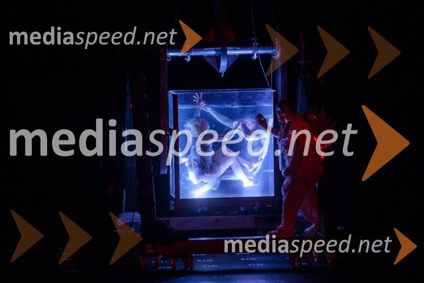 La Fura dels Baus, Joseph Haydn: Stvarjenje na 73. Ljubljana Festivalu