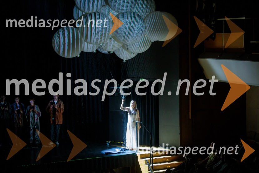 La Fura dels Baus, Joseph Haydn: Stvarjenje na 73. Ljubljana Festivalu